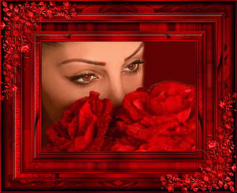 www.tvn.hu_148ceb127ecddaf210da2c4da9040112.gif