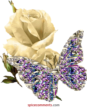 www_tvn_hu_47fbb9e9f42fd8fe2b06371519c57a48.gif